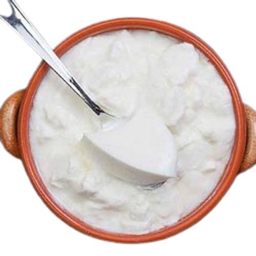 Fresh dahi